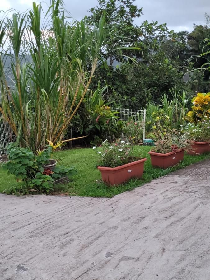 Appartamento Ericka Et Francois Quartier Monplaisir Esterno foto